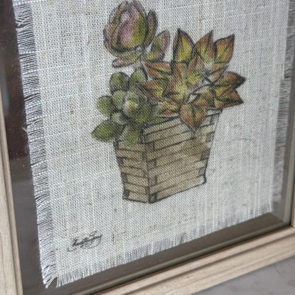 N/A succulent botanical